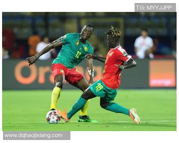 喀麦隆与几内亚比邵激战在即谁能在这场较量中胜出 喀麦隆与几内亚比邵激战在即谁能在这场较量中胜出