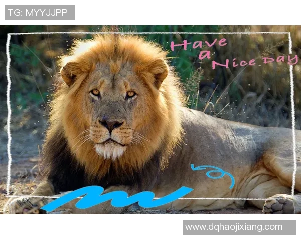 布雷与卡宾迪利的精彩对决揭示足球战术新趋势与球队实力较量 布雷与卡宾迪利的精彩对决揭示足球战术新趋势与球队实力较量