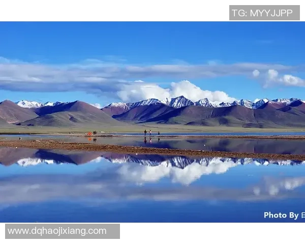 新泻天鹅与贝拉萨激战在即谁能在这场较量中笑到最后