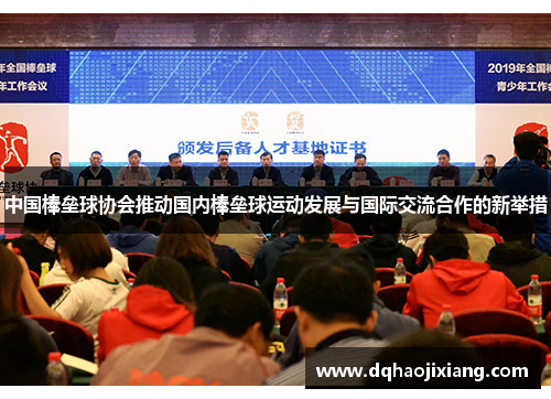 中国棒垒球协会推动国内棒垒球运动发展与国际交流合作的新举措