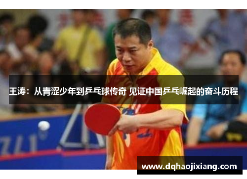 王涛：从青涩少年到乒乓球传奇 见证中国乒乓崛起的奋斗历程